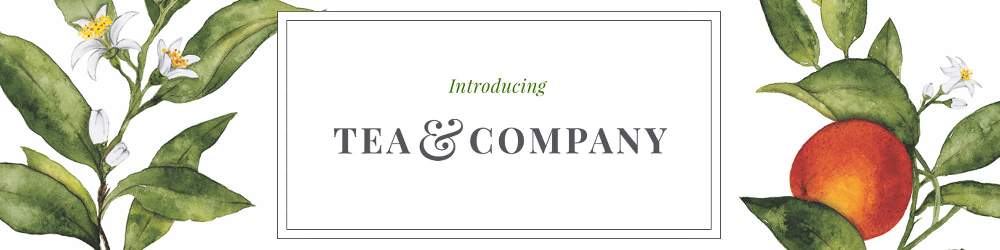 Tea & Company