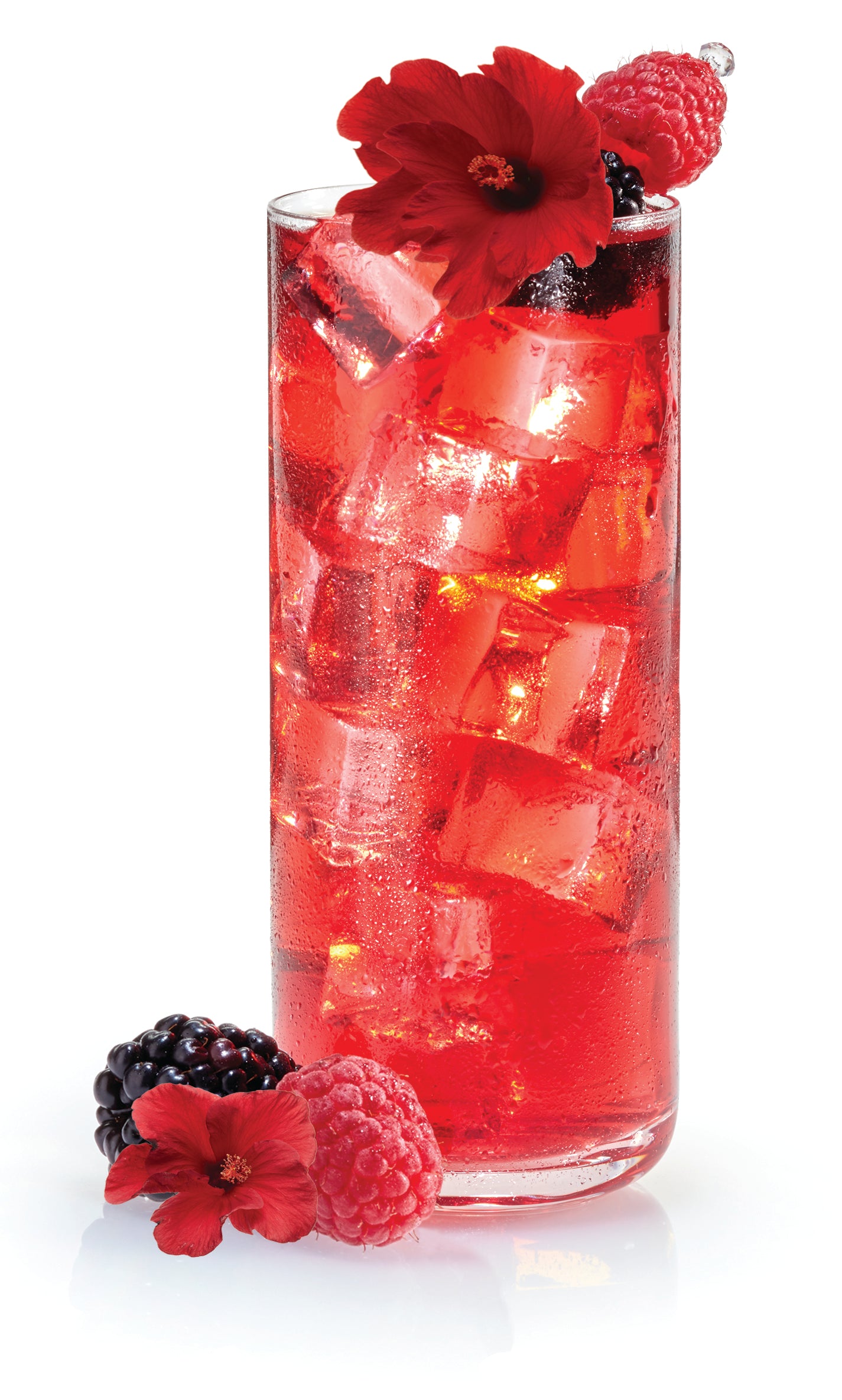 Organic Wild Berry Hibiscus Iced Tea